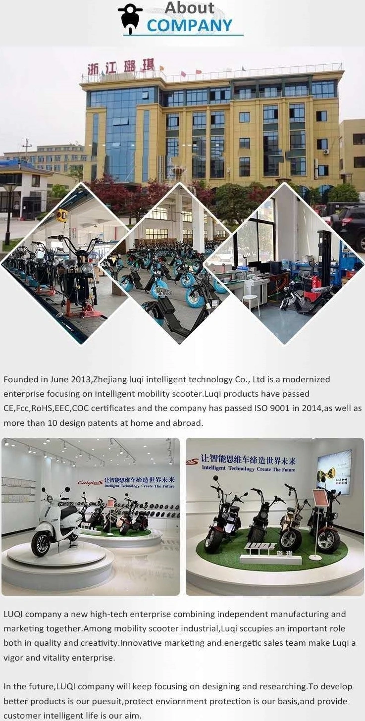 Private Model Primary Version Standing Hot Selling Electric Citycoco for Commuting Travel