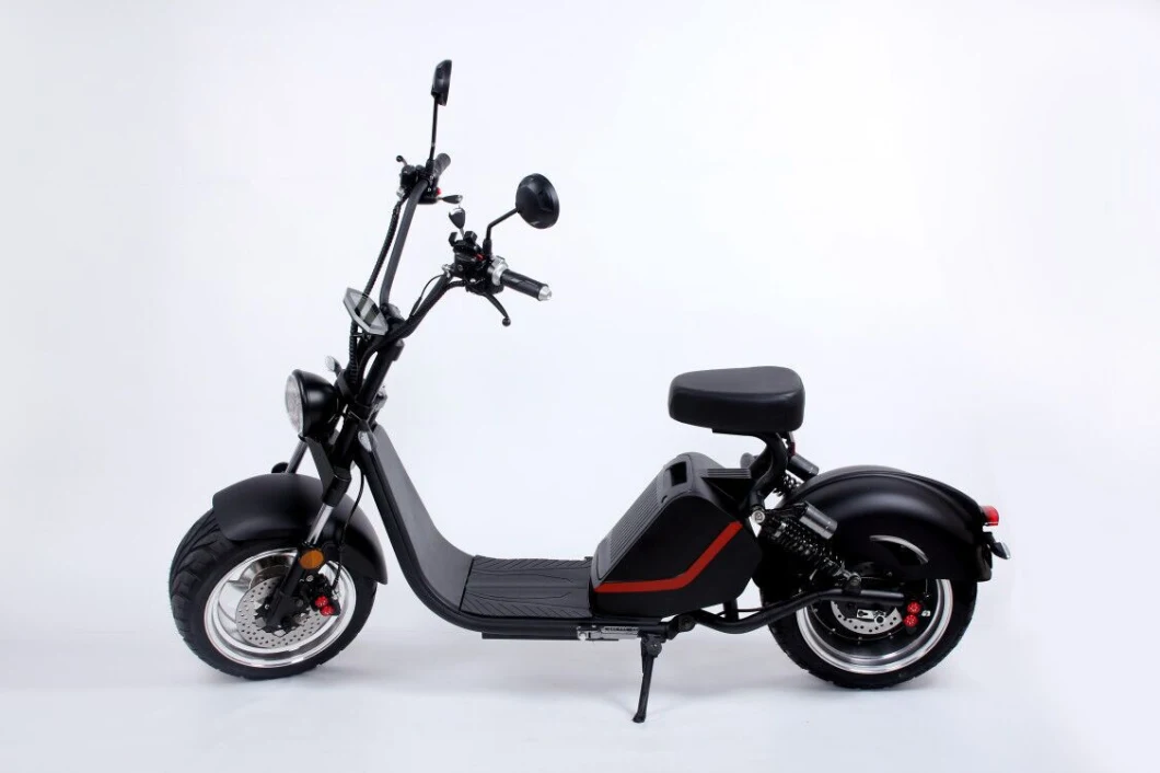 Private Model Primary Version Standing Hot Selling Electric Citycoco for Commuting Travel