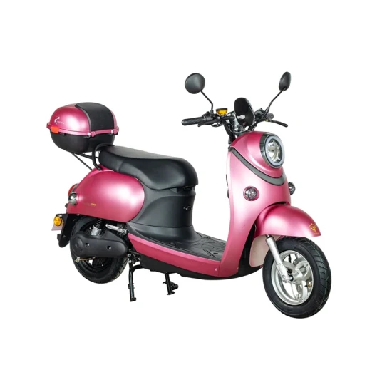 Suprimento elétrico de pneu gordo Mini 60V diretamente da Electrotown assento duplo Citycoco Scooter C05 vermelho 1000W