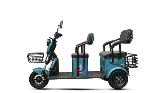 2023 venda direta da fábrica adulto elétrico etrike lazer triciclo elétrico de carga tem assentos de criança família uso diário compras scooter elétrico de três rodas