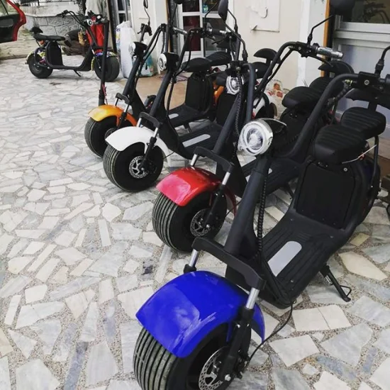 Scooter Elétrico Citycoco EEC Coc 1500W 2000W 60V 12ah 20ah Bateria de Lítio Scooter Elétrico Mobilidade Adulto Duas Rodas Scooter Elétrico Armazém UE