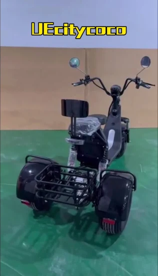 Alta qualidade 60V 20ah voltagem motocicleta triciclo três rodas pneu gordo scooter elétrico citycoco para adultos