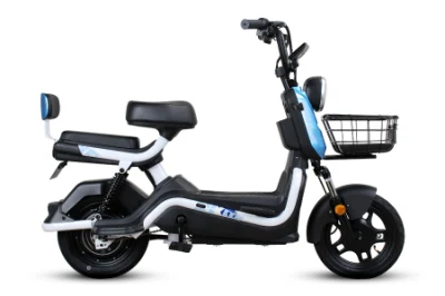 Desempenho estável direto da fábrica 400 W Motor sem escova CE, certificação EEC Scooter elétrico de ciclomotor de tamanho pequeno para conveniência